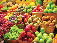 Foods and Agro-based