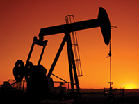 Petrochemical Sector